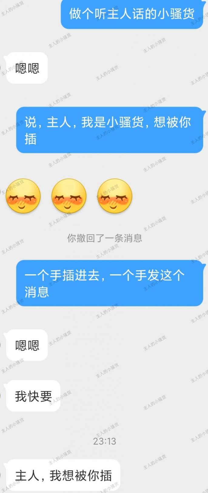主人的小骚货