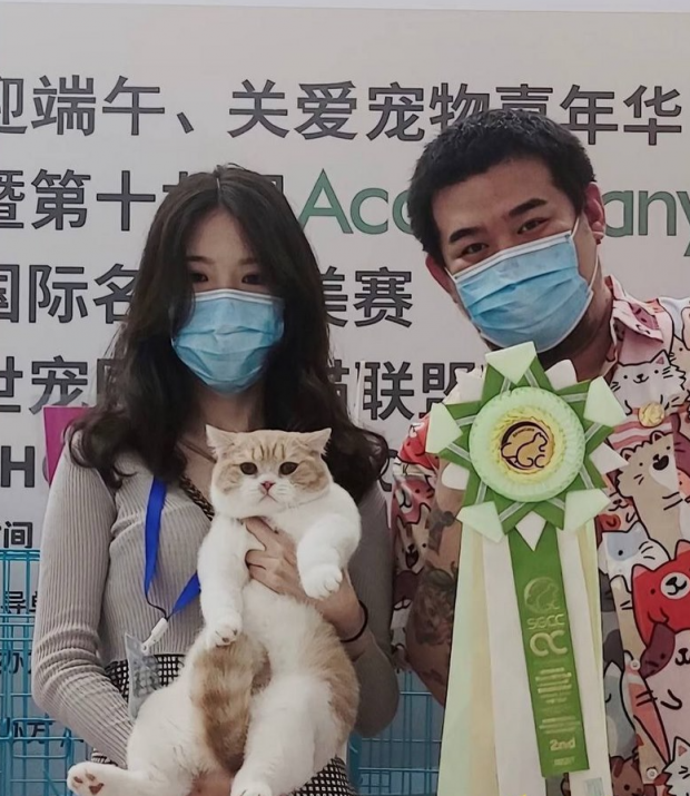 深圳第一深情私生子大瓜后续！