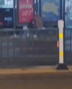 ❤️猎奇❤️常州大学城 公交车站惊现情侣当街啪啪,完全无视路人,到底有多饥渴呀!