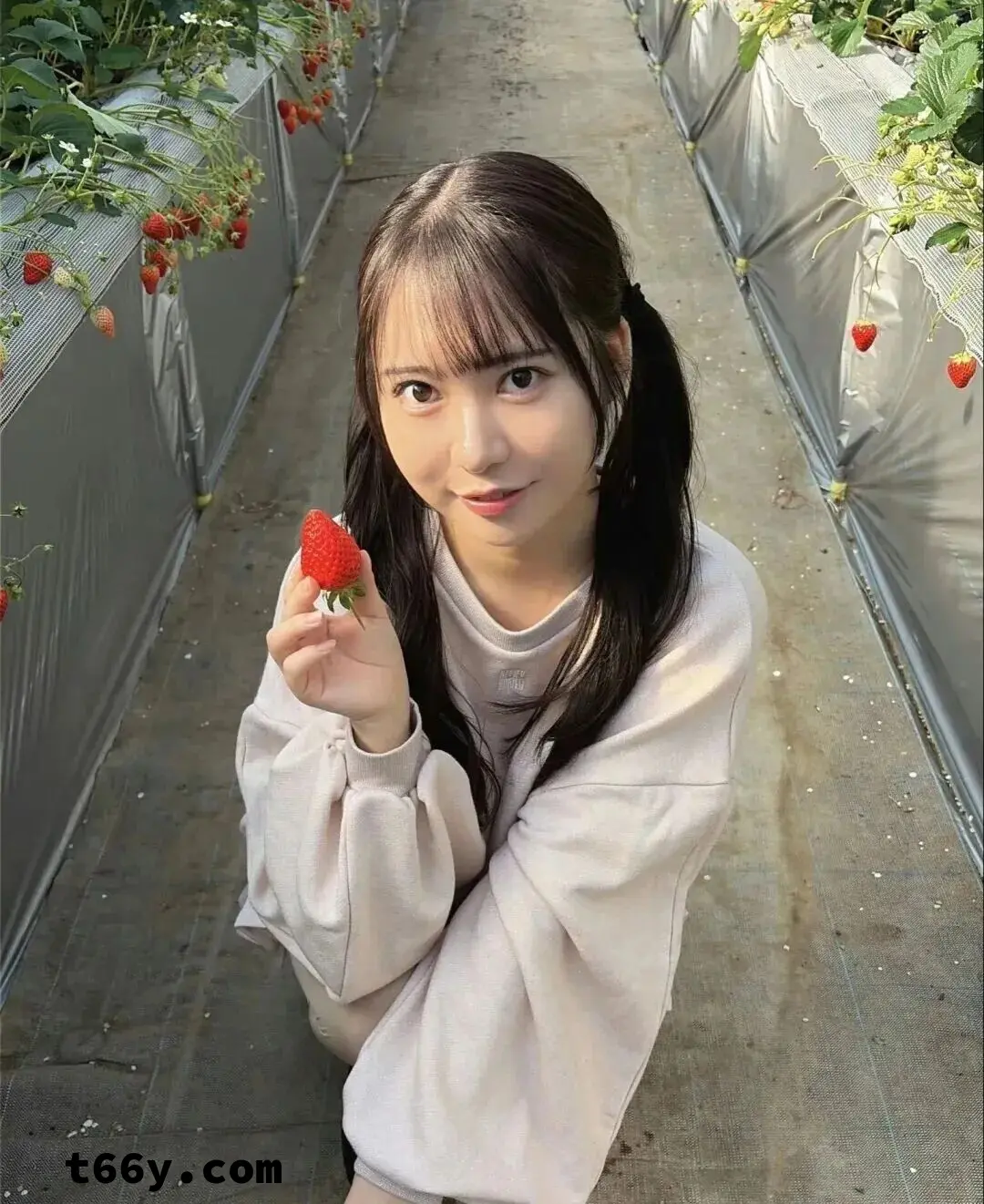 十年一遇，这位纯洁无瑕女演员被电影商捧上神坛