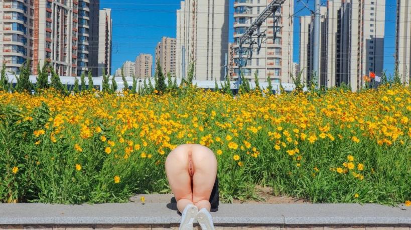 一见钟情的对象，问我要不要约P