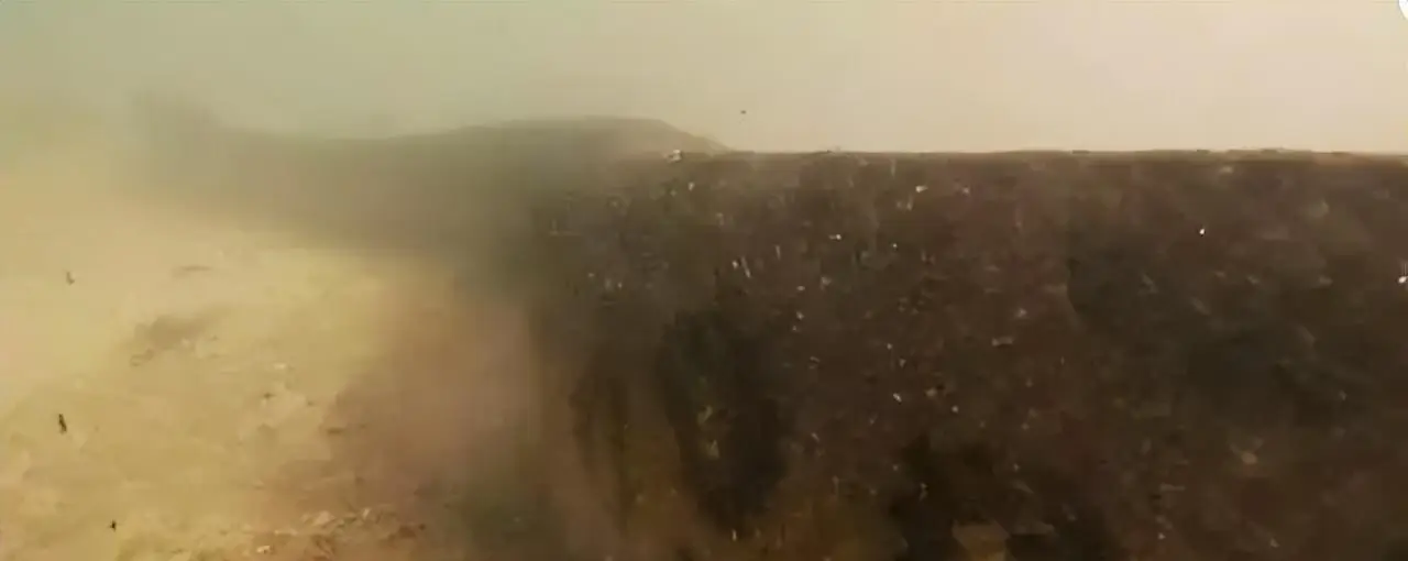 长江沿岸多次发生走蛟，蛇真能化蛟？这是一种什么生物？