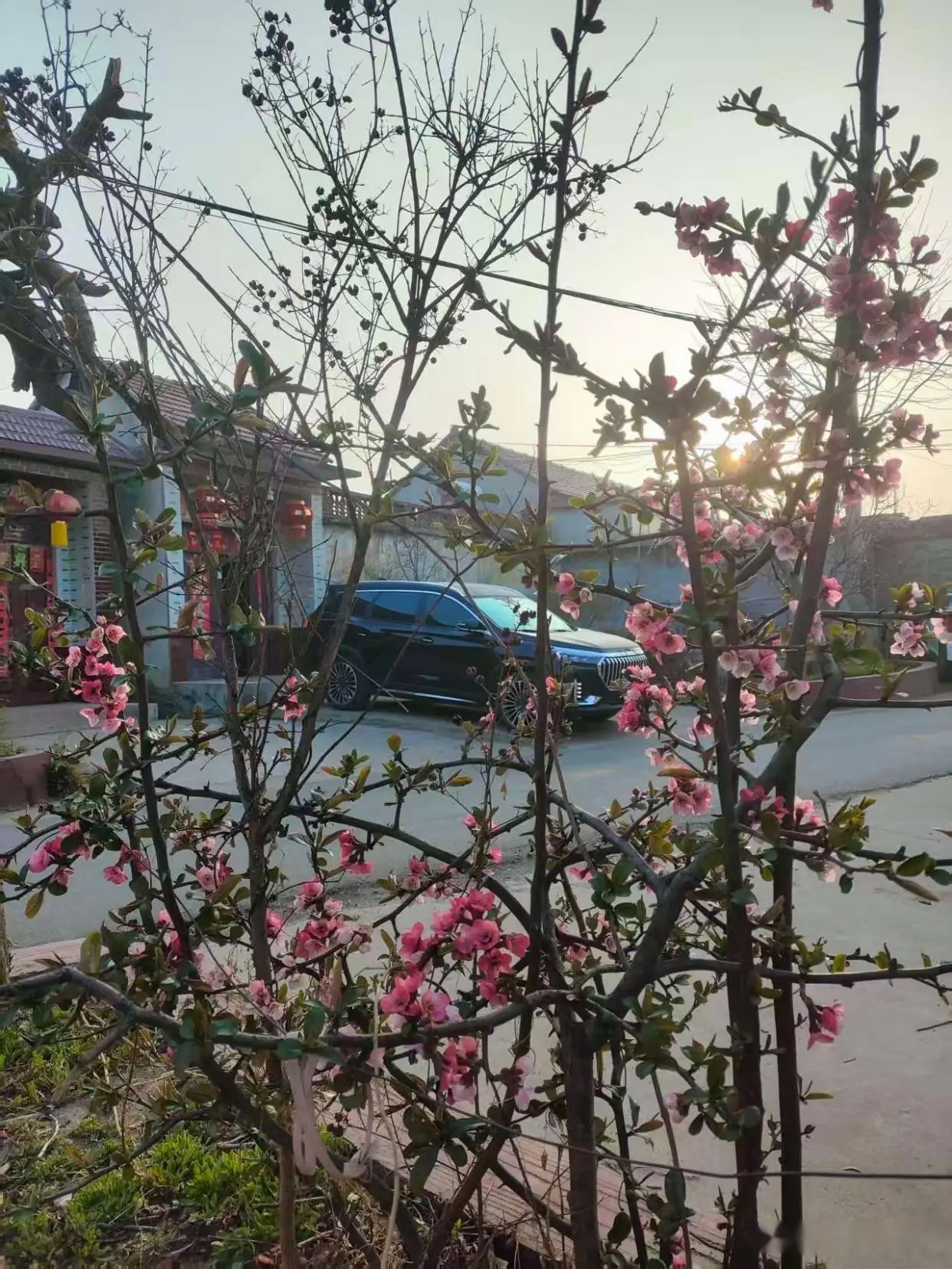 出轨女和情人“不戴套”的真相！3个扎心原因，听完你脊背发凉