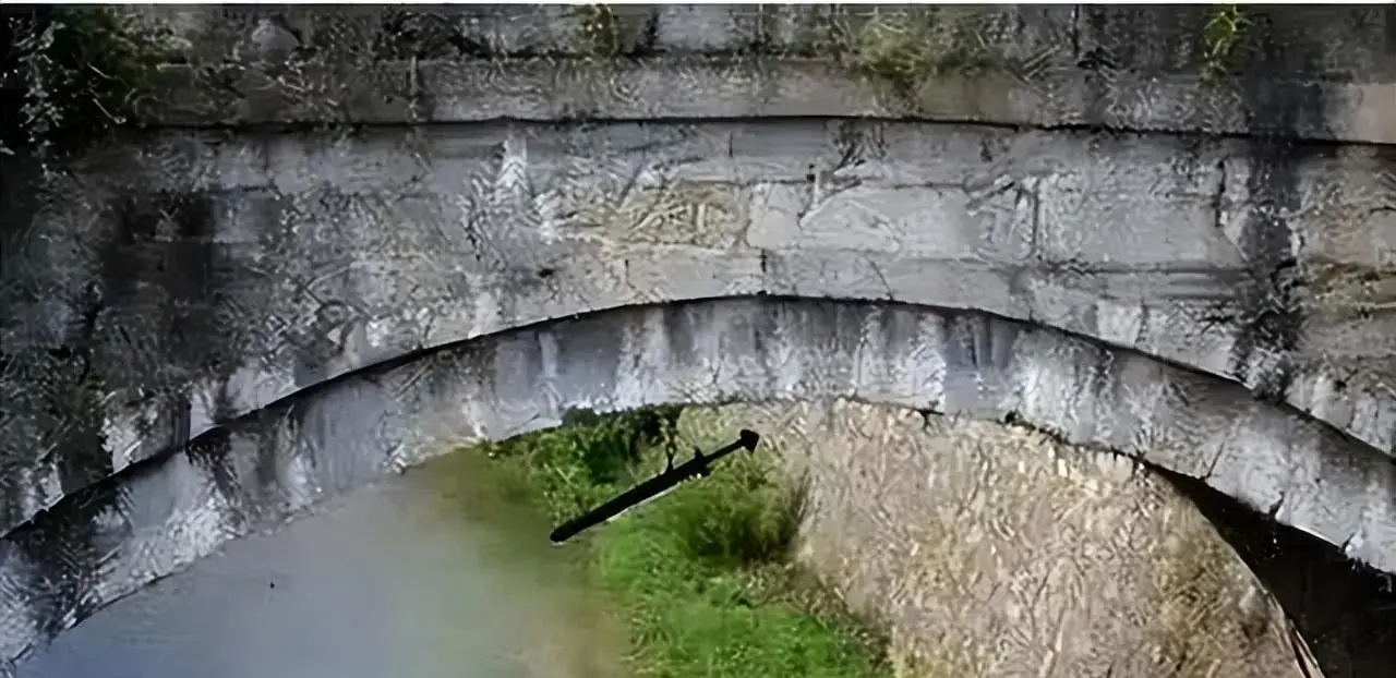 长江沿岸多次发生走蛟，蛇真能化蛟？这是一种什么生物？