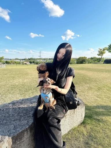 日本AV女优“藤咲まい”“藤咲舞”“mai fujisaki”在台湾台北以7500元人民币卖春被抓