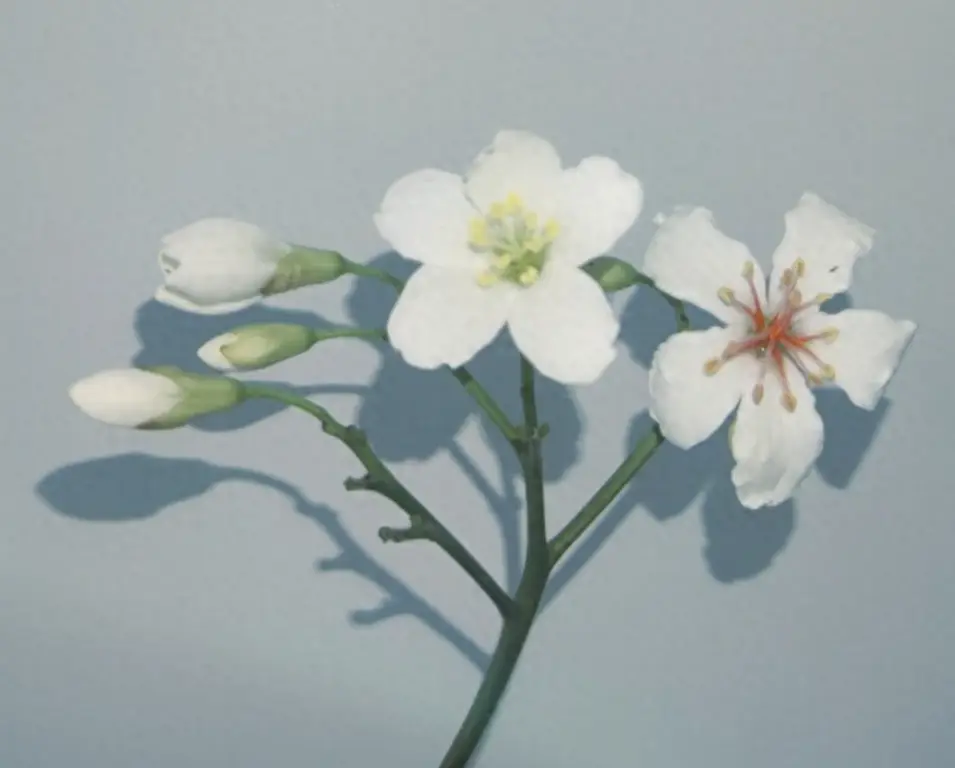征服一个女人，最高明方式：不是对她好，而是让她“失去”你一次