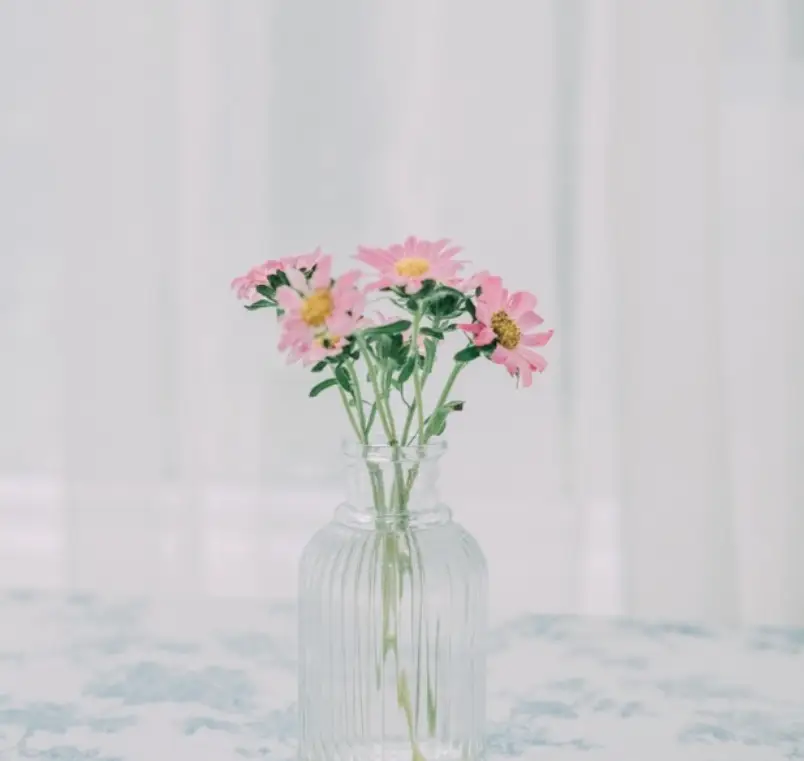 征服一个女人，最高明方式：不是对她好，而是让她“失去”你一次